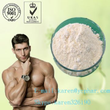 Testosterone Propionate